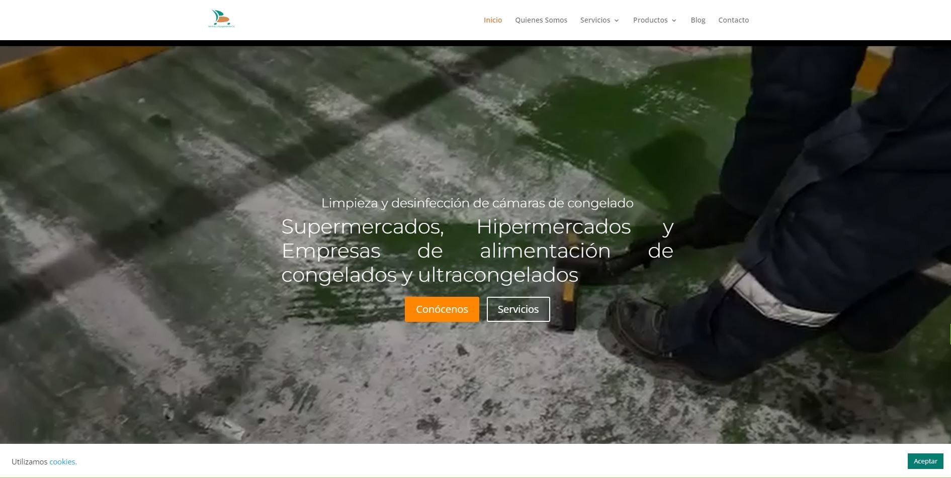Captura del proyecto Servi